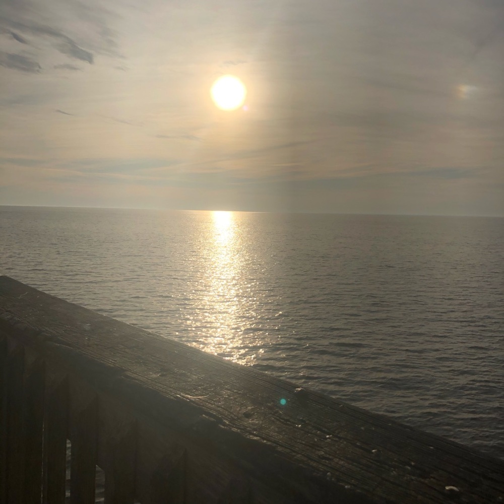 Meet your Posher, Caroline